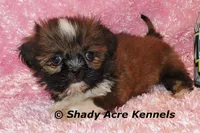 processed/30b5037a-b38c-496a-bcaa-7b1ee2f2b3da/listing/e953387d-a095-47ae-a567-c5d59ae0a12c/c94ddb4b-5aa5-461e-8a68-e10a41125408