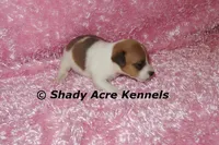 processed/30b5037a-b38c-496a-bcaa-7b1ee2f2b3da/listing/ff7f1e94-8cf9-4f89-8f8d-5393ac3c0fa1/015cffb5-5092-4958-bf0d-ca284790bb64