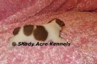 processed/30b5037a-b38c-496a-bcaa-7b1ee2f2b3da/listing/ff7f1e94-8cf9-4f89-8f8d-5393ac3c0fa1/2ff19466-c438-4b58-a77d-716df73b7c8d