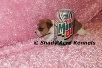 processed/30b5037a-b38c-496a-bcaa-7b1ee2f2b3da/listing/ff7f1e94-8cf9-4f89-8f8d-5393ac3c0fa1/4964f226-f4fd-448a-a62d-5cb71f8ae2d2