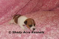 processed/30b5037a-b38c-496a-bcaa-7b1ee2f2b3da/listing/ff7f1e94-8cf9-4f89-8f8d-5393ac3c0fa1/4d45c85c-5706-456e-a68f-a13d77cbe659