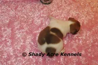 processed/30b5037a-b38c-496a-bcaa-7b1ee2f2b3da/listing/ff7f1e94-8cf9-4f89-8f8d-5393ac3c0fa1/9d5c30f5-f4dc-4c74-8930-714934dbff2d