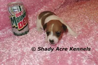 processed/30b5037a-b38c-496a-bcaa-7b1ee2f2b3da/listing/ff7f1e94-8cf9-4f89-8f8d-5393ac3c0fa1/a83530d0-b2f2-412a-96b0-d4ddbebc3dc8