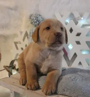 processed/30c4c0c8-139e-4c91-ab6a-cfe079b53017/listing/0ed778d5-5ee8-4001-91b0-a36857aab349/4a43618c-bfea-4a53-b33c-01392436a704