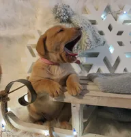 processed/30c4c0c8-139e-4c91-ab6a-cfe079b53017/listing/0ed778d5-5ee8-4001-91b0-a36857aab349/ae0fc5d4-4da2-4503-8cba-7b9c38a58bb2