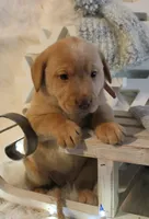 processed/30c4c0c8-139e-4c91-ab6a-cfe079b53017/listing/0ed778d5-5ee8-4001-91b0-a36857aab349/cab70a3f-ccca-420a-9f1e-635acfdd8ba6