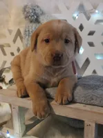 processed/30c4c0c8-139e-4c91-ab6a-cfe079b53017/listing/0ed778d5-5ee8-4001-91b0-a36857aab349/f992f648-5d2b-4b1e-8d8a-74a333b46746