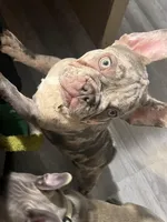 processed/30c86b4a-166c-4ff6-a8ba-640ec37bfb9d/listing/800076a5-6310-459e-a484-284ead300942/916abc7c-b028-4018-b933-1abebed8acbb