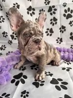 processed/30c86b4a-166c-4ff6-a8ba-640ec37bfb9d/listing/800076a5-6310-459e-a484-284ead300942/99d09fe6-ee05-411d-9603-b84cda9418cd