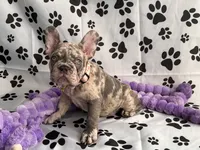 processed/30c86b4a-166c-4ff6-a8ba-640ec37bfb9d/listing/800076a5-6310-459e-a484-284ead300942/a43d773b-c02c-4327-8234-9b1991455afe