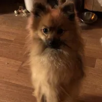 processed/30c90f8a-f980-40d0-a01a-7e7bd38837a7/facility/0438b6a6-918b-4759-a7ea-a7093ab3f5d0