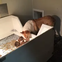 processed/30c90f8a-f980-40d0-a01a-7e7bd38837a7/facility/0f5ab647-e9ab-48c9-8fac-43e3d280e8f3