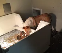 processed/30c90f8a-f980-40d0-a01a-7e7bd38837a7/facility/0f5ab647-e9ab-48c9-8fac-43e3d280e8f3