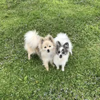 processed/30c90f8a-f980-40d0-a01a-7e7bd38837a7/facility/206cd65a-1fe0-491d-9f47-389b572951a6