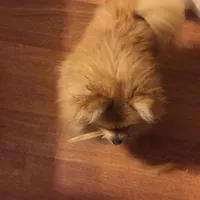 processed/30c90f8a-f980-40d0-a01a-7e7bd38837a7/facility/7e021e4c-15f5-423e-9f9e-3c12279bc64b