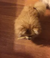 processed/30c90f8a-f980-40d0-a01a-7e7bd38837a7/facility/7e021e4c-15f5-423e-9f9e-3c12279bc64b