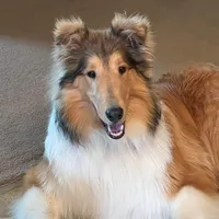 processed/30c90f8a-f980-40d0-a01a-7e7bd38837a7/facility/b60274c1-2093-419b-a9dc-24f53583533a