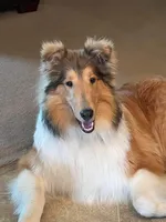 processed/30c90f8a-f980-40d0-a01a-7e7bd38837a7/facility/b60274c1-2093-419b-a9dc-24f53583533a