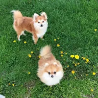 processed/30c90f8a-f980-40d0-a01a-7e7bd38837a7/facility/e8c3a7cc-62f7-42a8-83b8-bde0fb1bef92