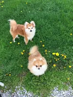 processed/30c90f8a-f980-40d0-a01a-7e7bd38837a7/facility/e8c3a7cc-62f7-42a8-83b8-bde0fb1bef92