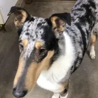 processed/30c90f8a-f980-40d0-a01a-7e7bd38837a7/facility/fc66fb3b-ea0e-4a6a-a70f-843be1d2bbe5