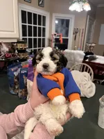 processed/30d62a18-35a1-4a29-8611-c0a1a407f404/facility/17433440-feab-4ac9-b221-2725d81fb790