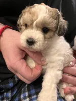 processed/30d62a18-35a1-4a29-8611-c0a1a407f404/facility/26c51211-c88a-43ce-89cf-0edbfb42883b