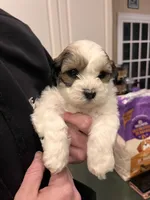 processed/30d62a18-35a1-4a29-8611-c0a1a407f404/facility/47e8aa9b-0f59-40ac-96a0-f86a3f3af062