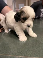 processed/30d62a18-35a1-4a29-8611-c0a1a407f404/facility/5f07af63-fc0e-4cef-8254-2300f9c75f97