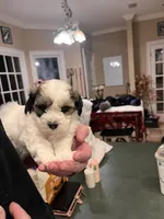 processed/30d62a18-35a1-4a29-8611-c0a1a407f404/facility/7b1ade3a-b96f-4fdb-88d8-a240bdc980e8