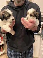 processed/30d62a18-35a1-4a29-8611-c0a1a407f404/facility/d2c68e12-d117-4d84-a577-7f3283257bed