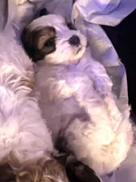 processed/30d62a18-35a1-4a29-8611-c0a1a407f404/facility/d3311280-e718-4ec1-ba89-b3a4aaa4e298