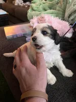 processed/30d62a18-35a1-4a29-8611-c0a1a407f404/listing/149e15f1-9c4d-495b-8531-e2c75f34a95b/f95f5483-a476-4ede-97b8-816d63571a84