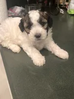 processed/30d62a18-35a1-4a29-8611-c0a1a407f404/listing/4cf604ab-d582-44e8-9c4e-4e61ce385129/56bc9921-9e0e-48fb-8ed9-271928621b0e