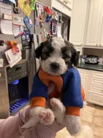 processed/30d62a18-35a1-4a29-8611-c0a1a407f404/listing/4cf604ab-d582-44e8-9c4e-4e61ce385129/fe5fd35f-1a10-4b8b-b901-8e63989dd6e7