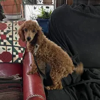 processed/30de8e7f-a6d0-4bd8-ab3d-41117c9336a8/listing/65b4ed78-bbb4-4d98-9af7-17aad4659c57/6ba54c13-9146-4eae-a9f8-37c068c4b8ce