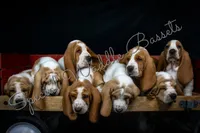 processed/30ecee79-6921-4816-a735-a2ccb5281955/listing/4a4875f5-c55f-4ead-8298-b5e5e76fb634/36c8f9a1-9f17-4551-b024-f78f0f44375b