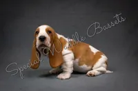 processed/30ecee79-6921-4816-a735-a2ccb5281955/listing/4a4875f5-c55f-4ead-8298-b5e5e76fb634/4955e23f-a948-47e7-9046-8498634b543c