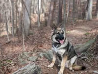 processed/30f02dca-f0c0-4ba4-8983-763e15cf6021/facility/75eeb5f2-8560-4f2c-b5b1-73bb3a13e2fa