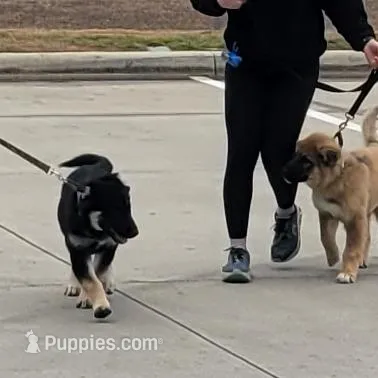 processed/30f02dca-f0c0-4ba4-8983-763e15cf6021/listing/2c2f5488-5514-4591-b06b-f668ee3752d4/65f19fd8-11e6-410c-b445-0509575fe20e