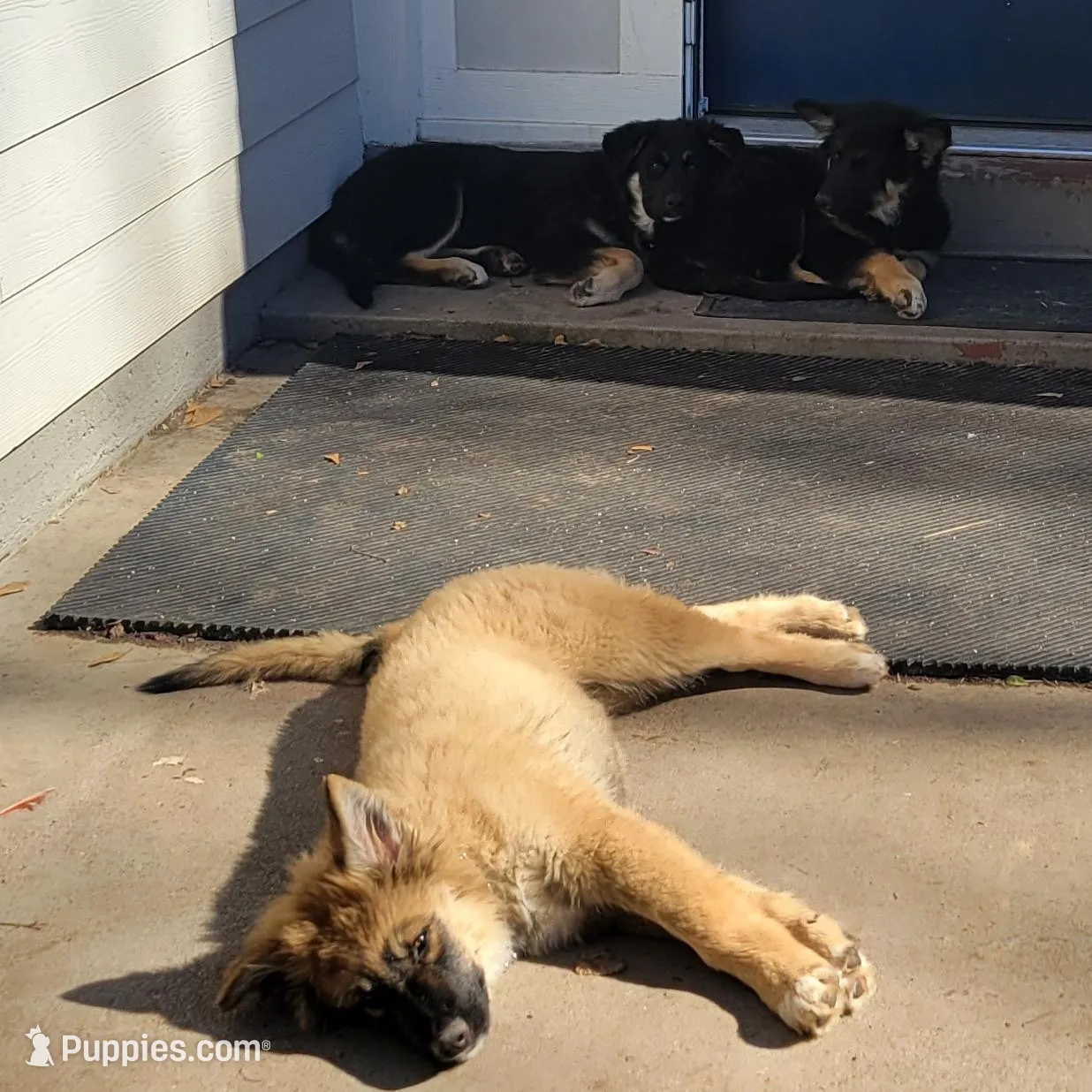 processed/30f02dca-f0c0-4ba4-8983-763e15cf6021/listing/2c2f5488-5514-4591-b06b-f668ee3752d4/914823d4-30f8-4928-9a7c-bce61d0661a2