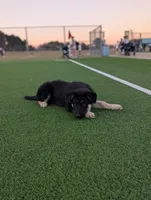 processed/30f02dca-f0c0-4ba4-8983-763e15cf6021/listing/2c2f5488-5514-4591-b06b-f668ee3752d4/f03d31eb-1cd9-4a11-b8e2-f9867728dce8