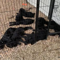 processed/31017b90-148d-4fbf-a024-80b1213bed49/facility/1c846893-934b-4ed6-9d12-70bf3e1bf5cc