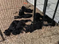 processed/31017b90-148d-4fbf-a024-80b1213bed49/facility/1c846893-934b-4ed6-9d12-70bf3e1bf5cc