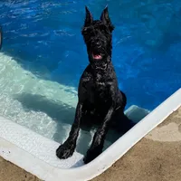 processed/31017b90-148d-4fbf-a024-80b1213bed49/facility/2d1ba427-c2b7-4888-bc93-acfb94d3fd63