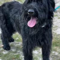 processed/31017b90-148d-4fbf-a024-80b1213bed49/facility/3213feaa-b829-4bfa-9fa8-8476d190c6bf