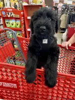 processed/31017b90-148d-4fbf-a024-80b1213bed49/facility/36090190-123e-42b5-bb22-08b304a05e9a