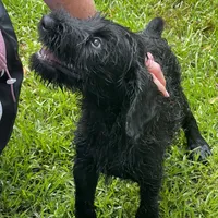 processed/31017b90-148d-4fbf-a024-80b1213bed49/facility/3c1db753-fc52-4acc-94b1-be07c6df9373