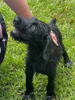 processed/31017b90-148d-4fbf-a024-80b1213bed49/facility/3c1db753-fc52-4acc-94b1-be07c6df9373