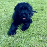 processed/31017b90-148d-4fbf-a024-80b1213bed49/facility/4294562f-4ccc-4937-a56b-88d0f4382daf